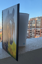 Cuaderno Ilustrado Caballo