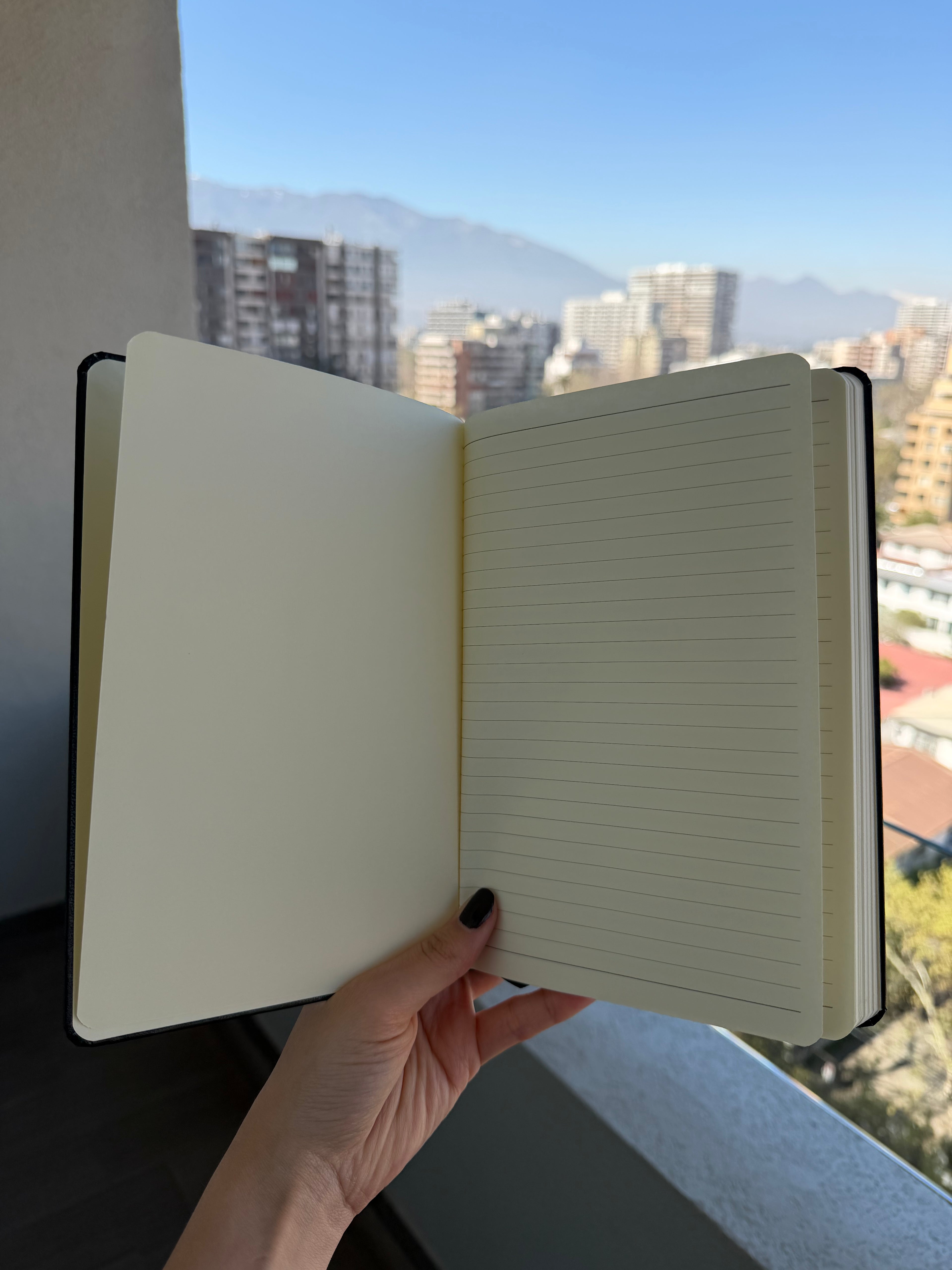 Libreta Flamenco - Guardianes del Sur